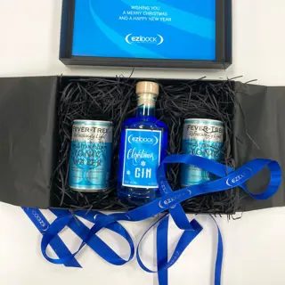 Branded 20Cl Gin And Tonic Packs 1