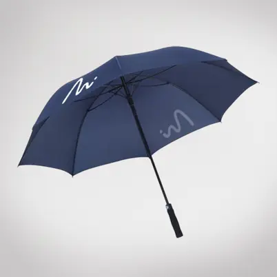 Umbrella (2)